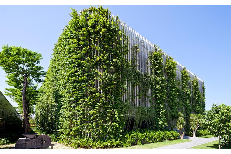 Babylon Double/Twin (Miễn phí Spa)